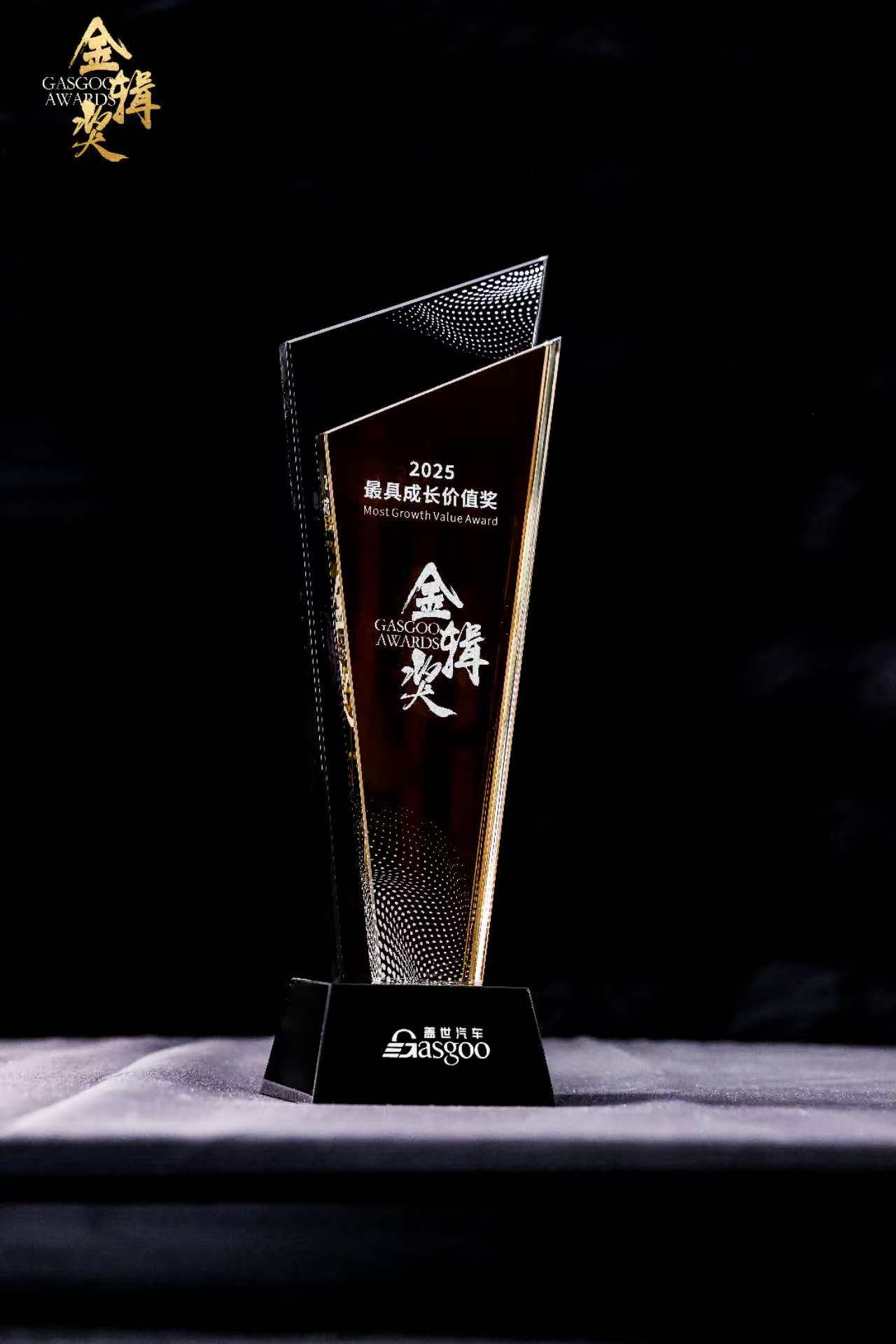2025金辑奖 最具成长奖 奖杯